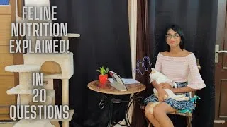 Thumbnail: FELINE NUTRITION EXPLAINED!! | Answering 20 Questions On Cat Nutrition |  FACTS BASED ON RESEARCH!