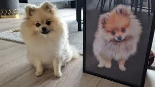 Thumbnail: How My Dog Reacts to His Puppy Portrait Photo