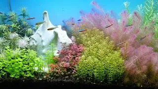 Thumbnail: HOW TO MAKE PLANTED AQUARIUM AT HOME - Aquascape Tutorial