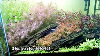 Thumbnail: AQUARIUM AQUASCAPE DRIFTWOOD - Simple Planted Aquarium Setup
