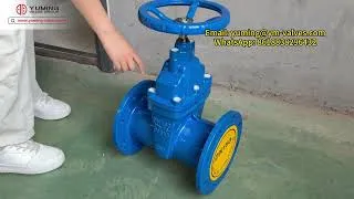 Thumbnail: DN150 PN16 Resilient Seated Ductile Iron Gate Valve
