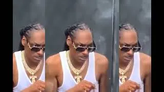 Thumbnail: Snoop Dogg Reggae Remix (Gin & Juice Dirty Version)