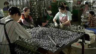 Thumbnail: Impressive. Top 7 popular factory manufacturing videos in China