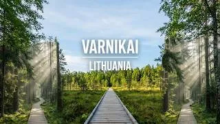 Thumbnail: Pristine forest in Varnikai Nature Trail 1 Pažintinis takas / Lithuania
