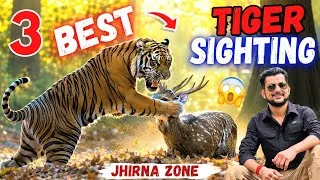 Thumbnail: 3 BEST TIGER SIGHTING 🐯 | Jhirna Zone Safari Full Adventure #jimcorbett 