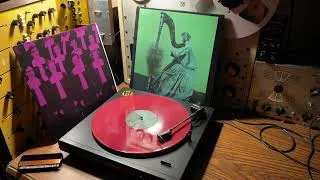 Thumbnail: TV Girl – Grapes Upon The Vine - Vinyl
