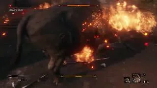 Thumbnail: Sekiro™: Shadows Die Twice - Raging Bull