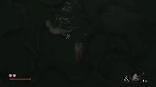 Thumbnail: Sekiro™: Shadows Die Twice - Fidget Lizard