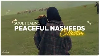 Thumbnail: Peaceful Nasheed Collection 🎶🌷 || New Latest Nasheeds Are Live Now (New Drop)!!