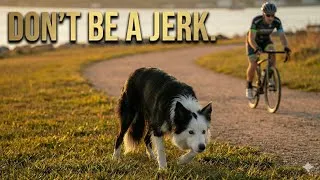 Thumbnail: Don’t be a jerk. Public Spaces Aren’t a Free-For-All for Your Dog