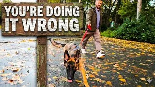 Thumbnail: LEASH PULLING, What You’ve Been Told is Backwards