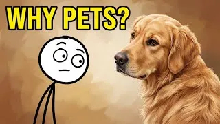 Thumbnail: Why We Keep Pets (And Why It Changed Humanity)