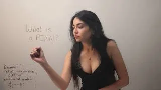 Thumbnail: An Introduction to Physics-Informed Neural Networks
