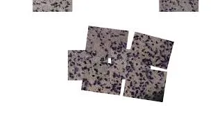 Thumbnail: duplication