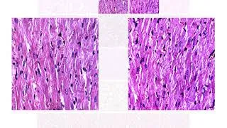 Thumbnail: Figure 5c