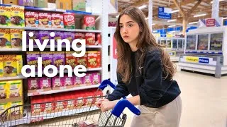 Thumbnail: Living Alone vlog | 5am grocery shop, new monitor, meeting neighbours