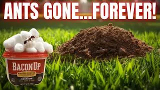 Thumbnail: HOMEMADE ANT KILLER | Works Inside Or Outside FOREVER!!!