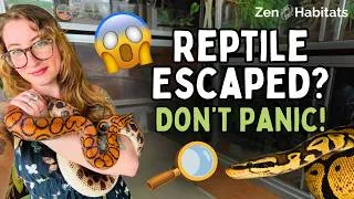 Thumbnail: Reptile Escaped Its Enclosure? Watch This IMMEDIATELY (How to Find a Missing Reptile)