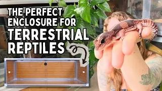 Thumbnail: Which Reptiles Can Live in a 4'x2'x16" Enclosure? (5 Species That Will THRIVE!)