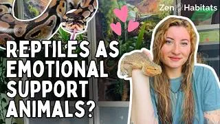 Thumbnail: Can a Reptile Be an Emotional Support Animal? (What Most People Don't Know)
