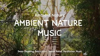 Thumbnail: Ambient Nature | Relaxing ambient for Deep Sleep, Relaxation music, Stress Relief, Meditation Music