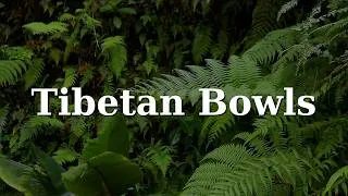 Thumbnail: zen meditation rain forest sounds 1 hour 🕉️