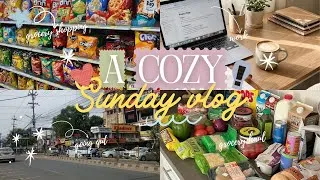 Thumbnail: Spend a "Cozy Sunday" with me🌷✨ | Aesthetic vlog indian 🌷| grocery shopping, day out, work, haul  🍒