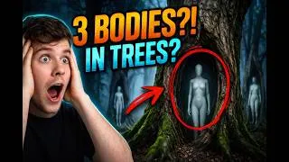 Thumbnail: The Most Impossible Crime Scene Investigators Had Ever Seen