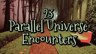 Thumbnail: 23 unexplainable parallel universe encounters