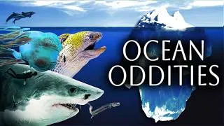 Thumbnail: The Ocean Oddities Iceberg Explained