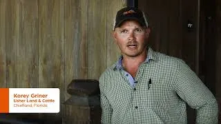 Thumbnail: Unlock Herd Potential by Tracking Cow Performance | Usher Land & Timber | Zoetis Livestock Genetics