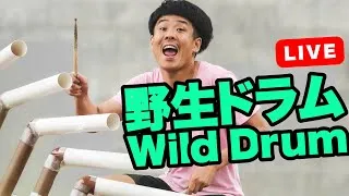 Thumbnail: Wild Drum Live @SUMIDABLOCKFESTIVAL   / 野生ドラムすみだブロックフェスティバル（2024/12/8）High Quority Sound ハイクオリティサウンド