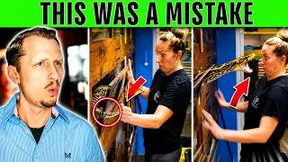 Thumbnail: She Made a Python Angry... Then This Happened | Zoologist Reacts