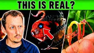 Thumbnail: I Can't Believe These Animals Are Real | Zoologist Reacts