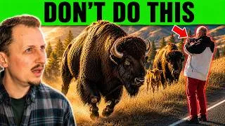 Thumbnail: Zoologist Reacts to "Tourons"!