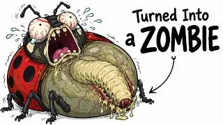 Thumbnail: Why It Sucks To Be Born As a Ladybug