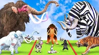Thumbnail: 5 Giant Mammoth Elephant Cow vs 10 Giant Tiger Lion vs 5 Elephant Attack Cow Saved by Woolly Mammoth