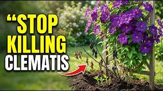 Thumbnail: 5 Clematis Secrets Nurseries Never Tell You