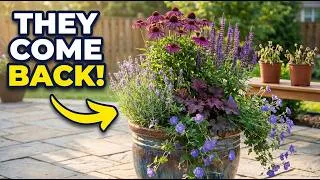 Thumbnail: 9 Perennials That Thrive in Pots for Years — Almost No Work