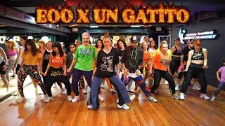 Thumbnail: EOO X UN GATITO ME LLAMÓ - Bad Bunny - Karol G - Choreo Zumba Suzy - Zumba Fitness- Dance