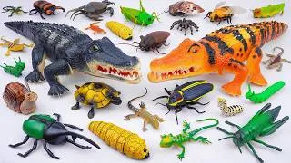 Thumbnail: 🦎toy asmr🦎 126 Minutes ZURU Robo Alive Insect ASMR | Alligator, Turtle, Lizard, Worm