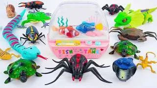 Thumbnail: 🦎toy asmr🦎 126 Minutes ZURU Robo Alive Insect ASMR | Fish Tank, Spider, Snake, Lizard, Crab