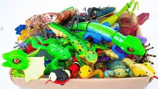 Thumbnail: 🦎toy asmr🦎 122 Minutes ZURU Robo Alive Insect ASMR | Lizard, Snake, Spider, Butterfly