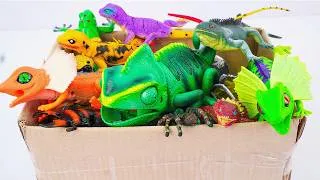 Thumbnail: 🦎toy asmr🦎 133 Minutes ZURU Robo Alive Insect ASMR | Chameleon, Lizard, Spider, Worm