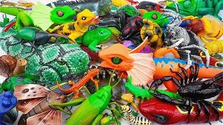 Thumbnail: 🦎toy asmr🦎 128Minutes ZURU Robo Alive Insect ASMR | Lizard, Anaconda, Spider, Scorpion