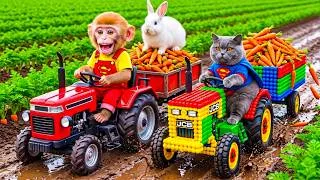 Thumbnail: Monkey Farmer Drives Tractor to Harvest Carrots with Tiny JCB Cat & Rescues a Bunny from Deep Mud!