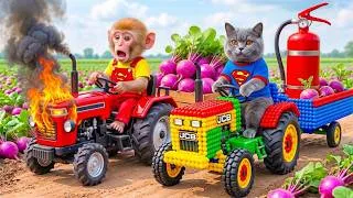 Thumbnail: Monkey Farmer Drives Tractor to Harvest Turnips with Tiny JCB Cat & Faces a HUGE Tractor Fire!