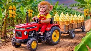 Thumbnail: Monkey Farmer Drives Tractor to Harvest Bananas & Makes Delicious Banana Ice Cream!