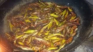 Thumbnail: African Village Cooking | How to Cook Grasshoppers🦗🦗🦗 (Traditional African Recipe)