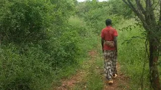 Thumbnail: Let me show you how beautiful South Africa is . #viral #villagelife #hiking #nature 